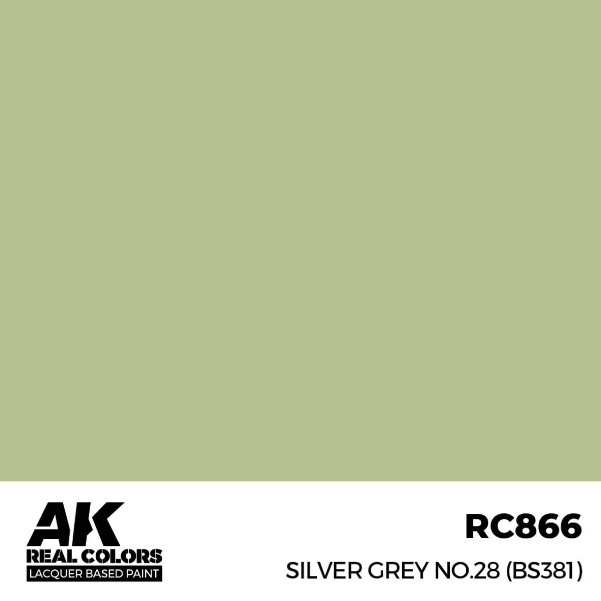 AK RC866 Real Colors Silver Grey No.28 (BS381) 17 ml.