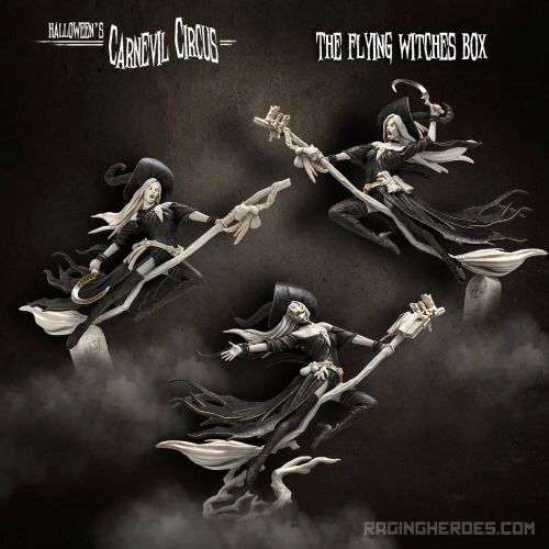 Raging Heros 3701443400484 Flying Witches Box (CC - F)