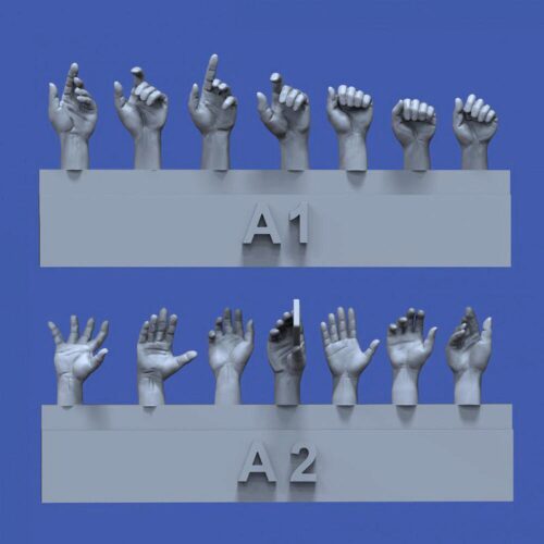 Royal Model RM839 Assorted hands set No.1