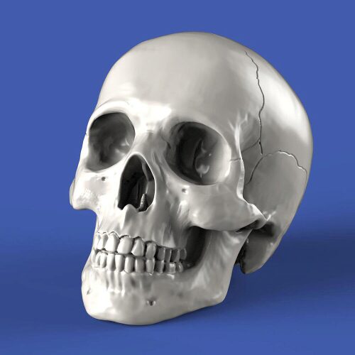 Royal Model RM857 Skulls (75mm)