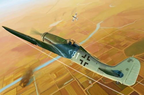Hobby Boss 81718 1/48 Focke Wulf FW190 D11