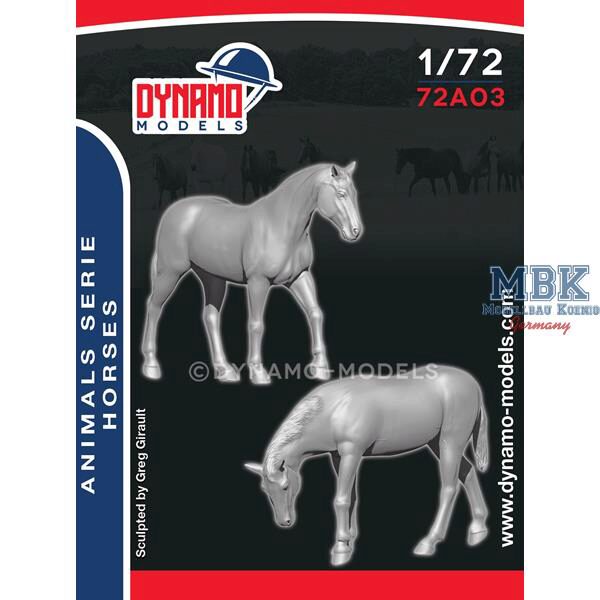 Dynamo Models DYM72A03 Animal Serie - Horses