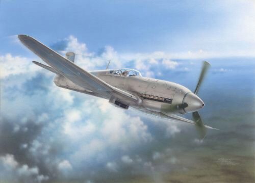 Special Hobby SH32045 Heinkel He 100D Soviet and Japanese Plan