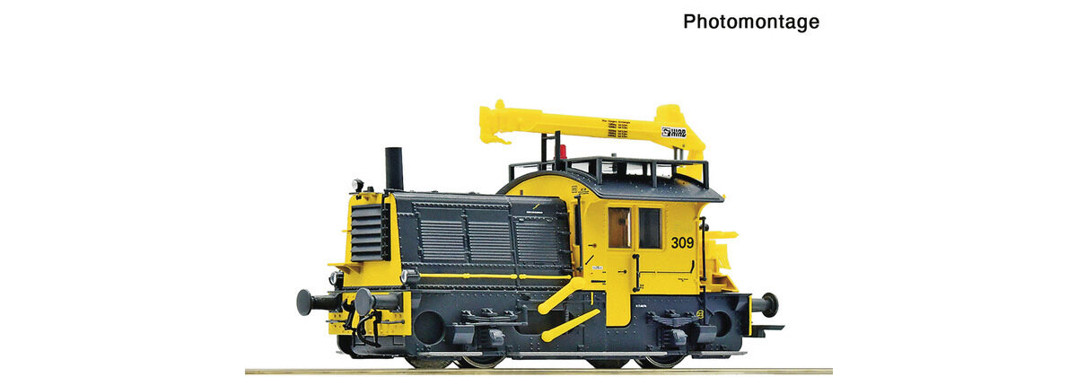 Roco 7310080 Diesellok Sik DC-Snd.