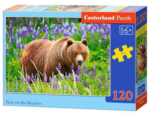 Castorland B-13425-1 Bear an the Meadow, Puzzle 120 Teile