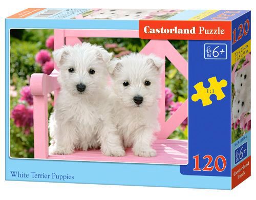 Castorland B-13494-1 White Terrier Puppies, Puzzle 120 Teile