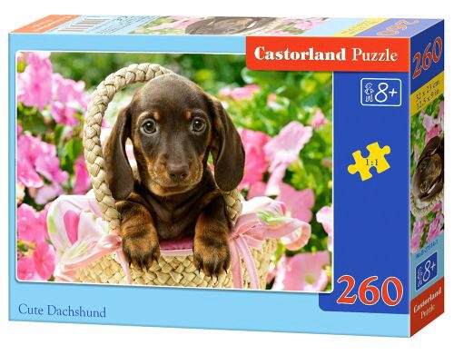 Castorland B-27514-1 Cute Dachshund, Puzzle 260 Teile