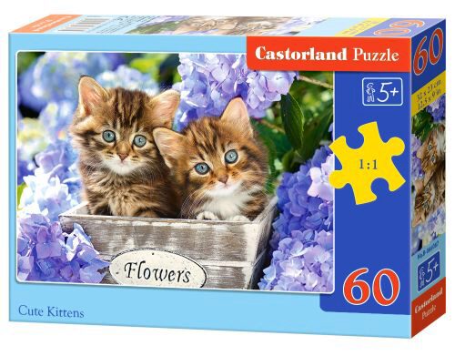 Castorland B-066087 Cute Kittens, Puzzle 60 Teile