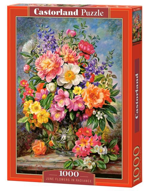 Castorland C-103904-2 June Flowers in Radiance,Puzzle 1000 Tei