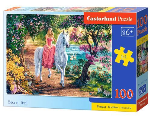 Castorland B-111114 Secret Trail, Puzzle 100 Teile