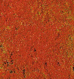 HEKI 1588 decovlies Blumendecor rot 28x14 cm