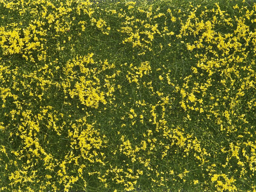 Noch 07255 Bodendecker-Foliage Wiese gelb 12 x 18 cm
