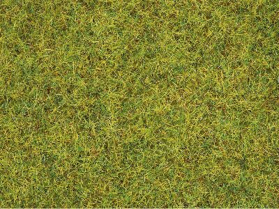 Noch 08310 Sommerwiesen-Gras  2,5 mm