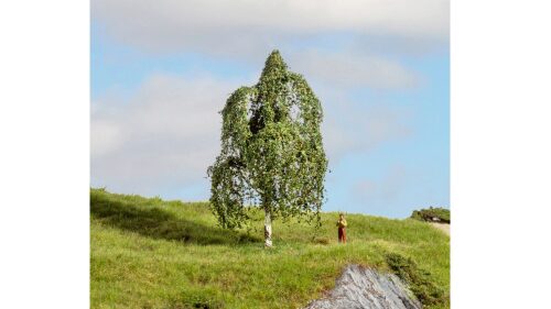 Noch 20121 Hängebirke, 12 cm hoch